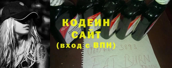ГАЛЛЮЦИНОГЕННЫЕ ГРИБЫ Рославль