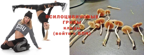 сатива Приозерск