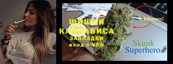 ГАЛЛЮЦИНОГЕННЫЕ ГРИБЫ Рославль