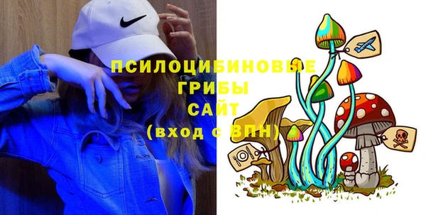 сатива Приозерск