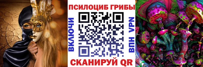 Галлюциногенные грибы Psilocybine cubensis  Руза 